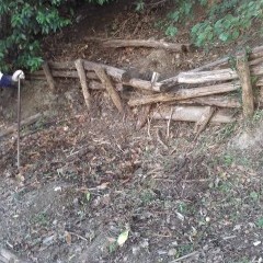 palizzate in legno