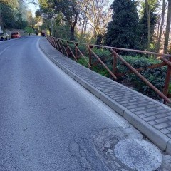 realizzazione staccionate in legno