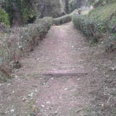 sistemaizone aree pedonali